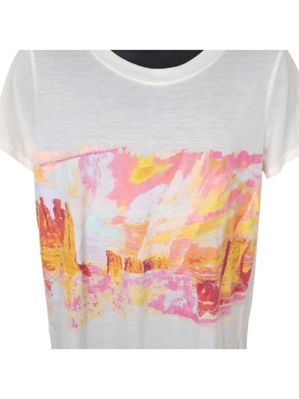 Desert Rock Formations T Shirt Womens Size Large Cream Arizona Jean Co